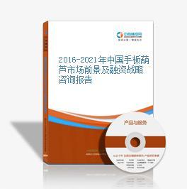 2016-2021年中國手板葫蘆市場前景及投資發(fā)展戰(zhàn)略研究報告